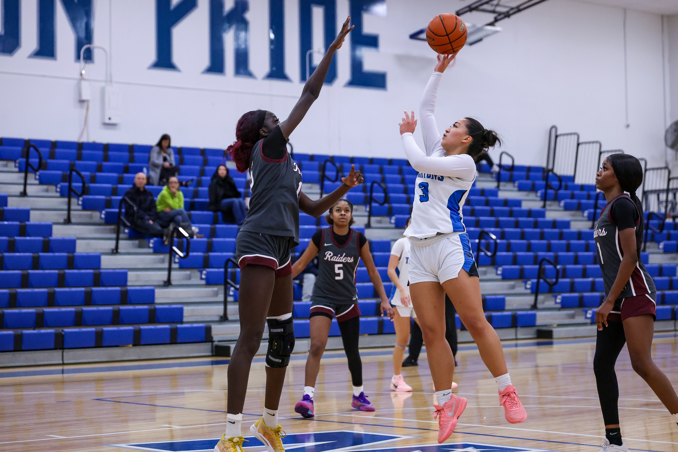 Bulldogs too much for Triton women